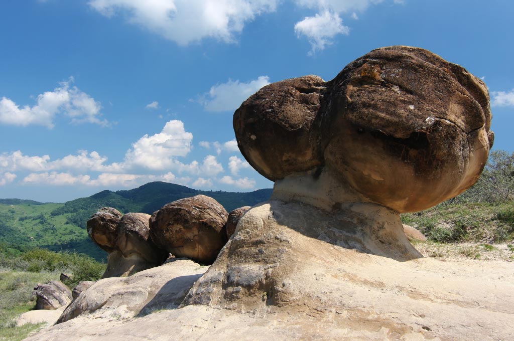 رروح درکره زمین