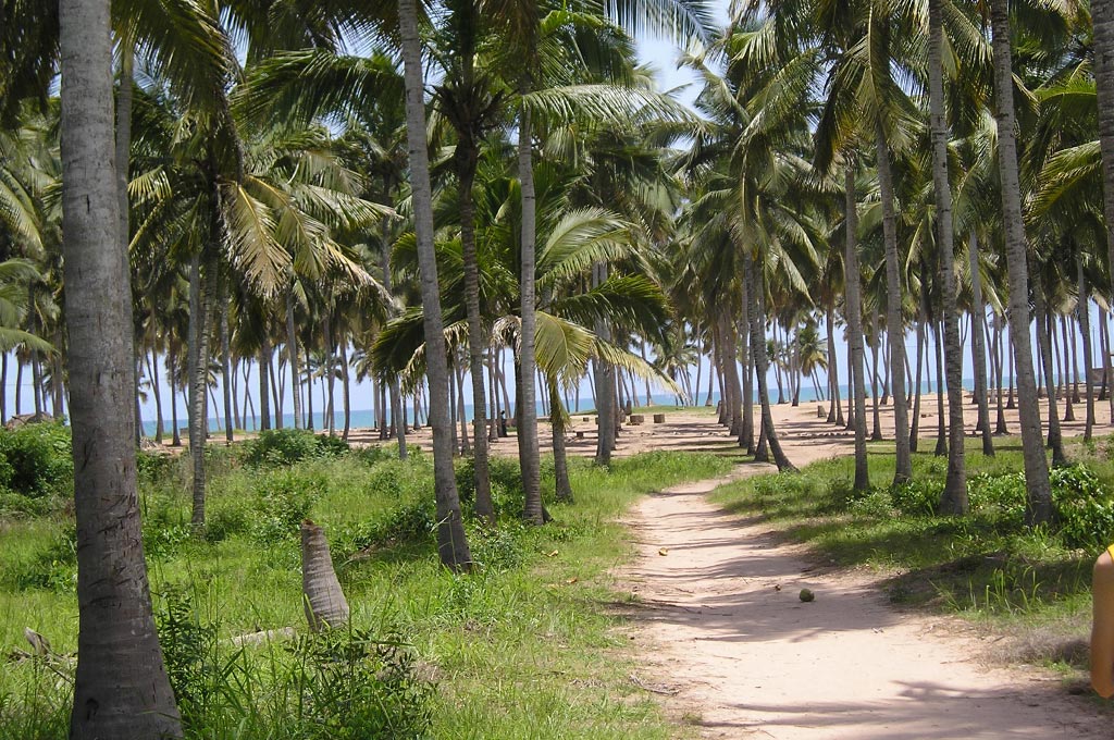 عالم خودش در خودش واقع است