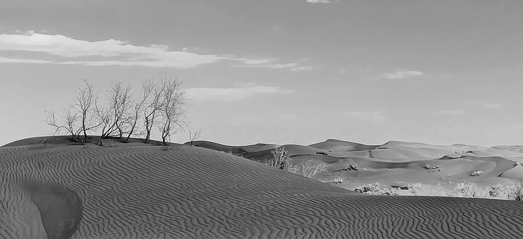 عالم خودش در خودش واقع است